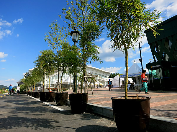 世界竹博覧会（World Bamboo Fair）竹鉢植え