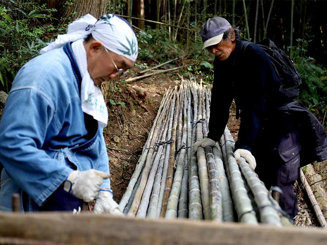 虎竹山出し