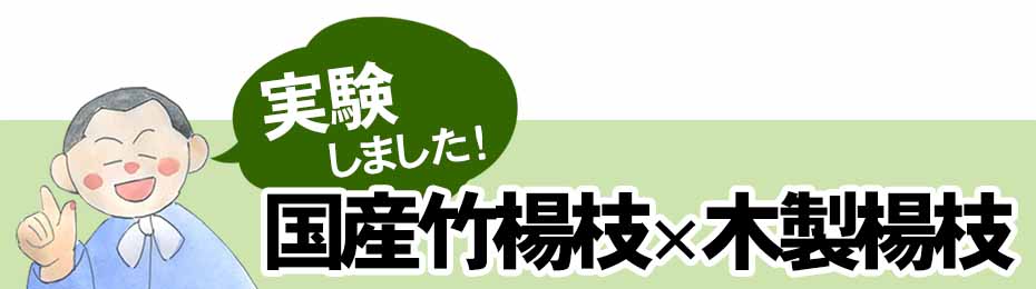 国産竹楊枝と市販の木製楊枝の違いを実験