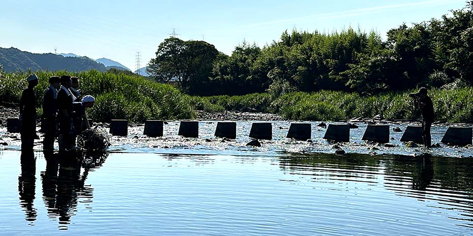 高知県須崎市の新荘川で撮影