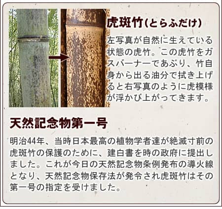 虎竹耳かき おやじと愛妻セット 虎斑竹専門店 竹虎